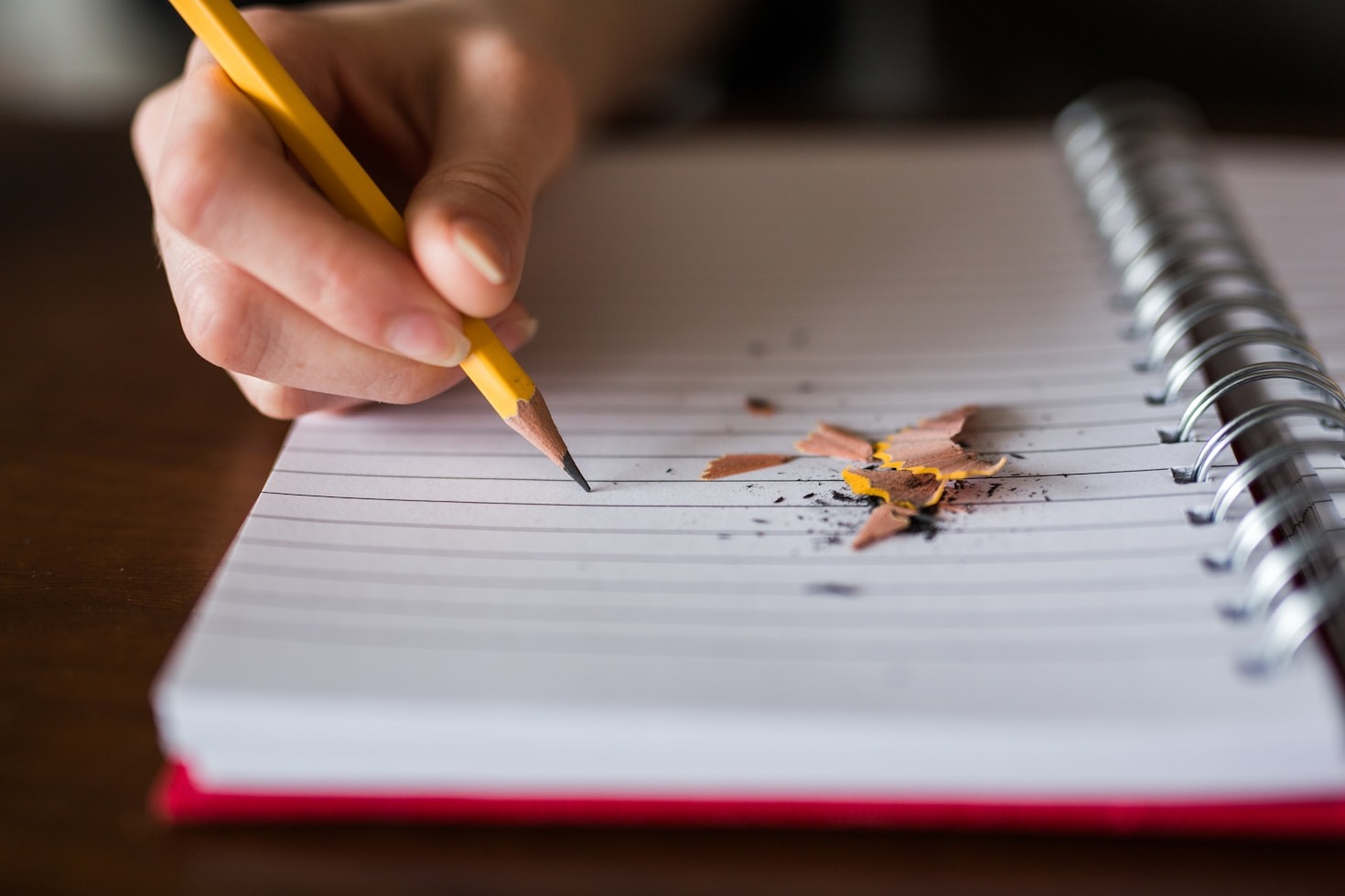 A Day in the Life: Personal Reflections